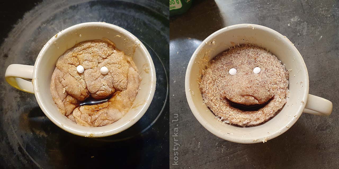 Coconut dessert psyllium husk and powder comparison