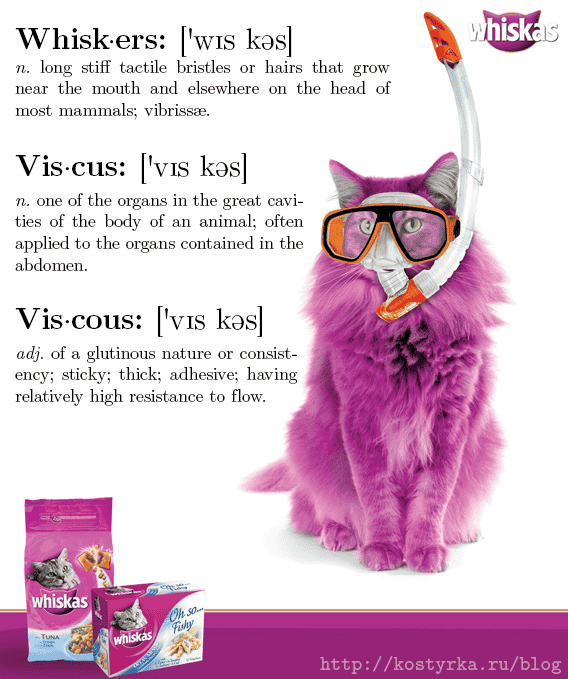 whiskas whiskers viscus viscous